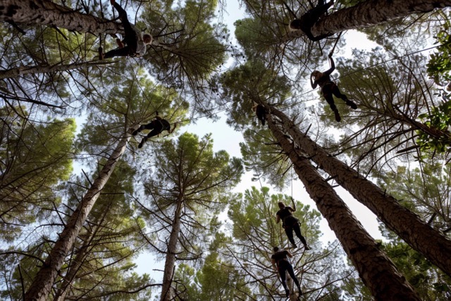 accrobranche team building sete herault 2 Moyenne