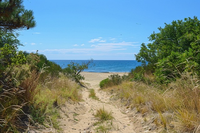 accrobranche team building vendres plage activite federatrice 2 Moyenne