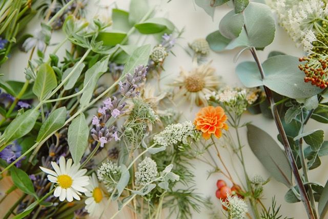 composition herbier marseille team building 3