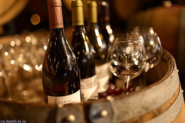 defis vin activite team building 1