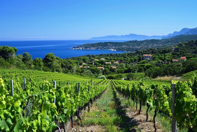 oenologie team building nice decouvrez vins region 2