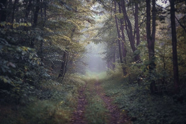 parcours sensoriel sensas team building massy 1