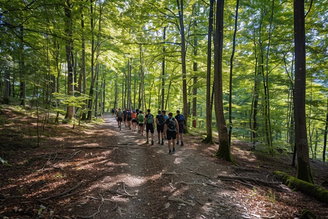 stage survie foret notre dame team building 3