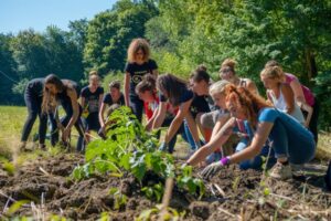team building vegetal bondues activite ludique 1 Moyenne