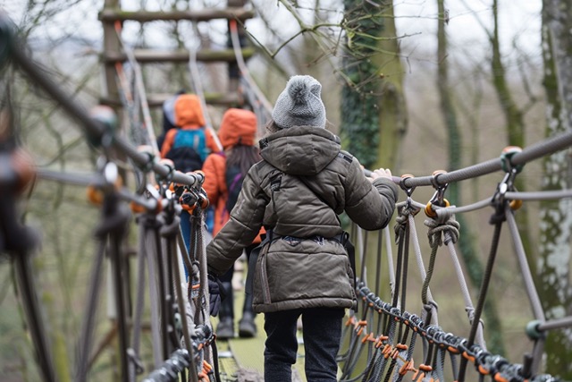 accrobranche team building echassieres renforcer cohesion equipe 2