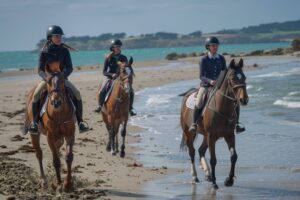 equi coaching team building ile yeu 1