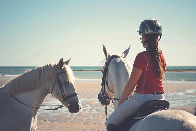 equi coaching team building ile yeu 2