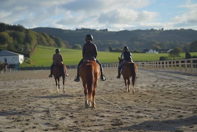 equi coaching team building vigneux bretagne 2