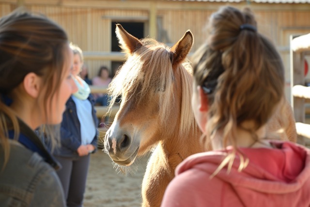 equi coaching team building vigneux bretagne 4