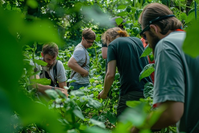 escape game team building sauvez les carottes chelles 3