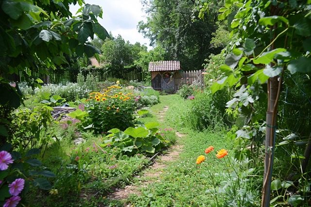 escape game team building sauvez les carottes chelles 4