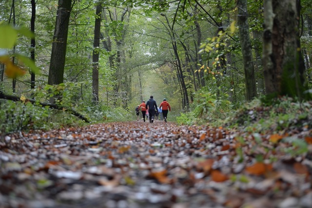 parcours survie team building 3