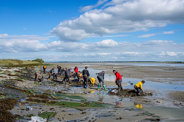 ramassage de dechets baie somme team building optimal 1