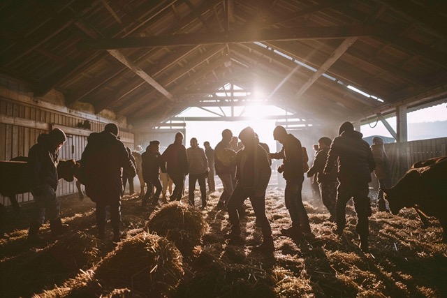 team building ouezy fermier 1