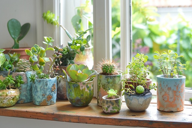 team building vegetal reims activite renforcement equipe nature 2