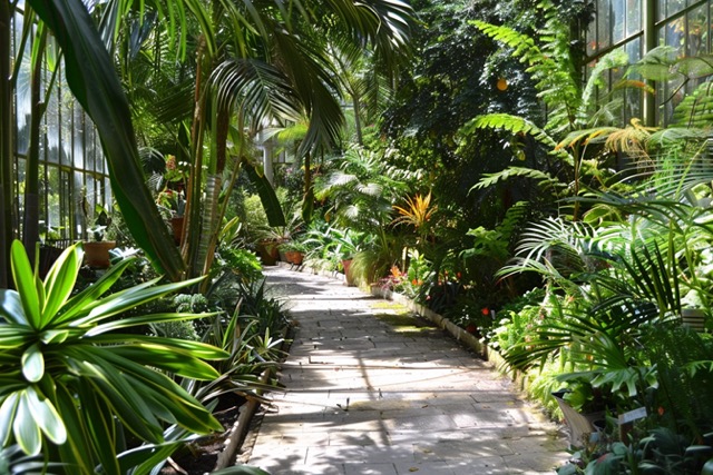 safari photo team building serres auteuil 2